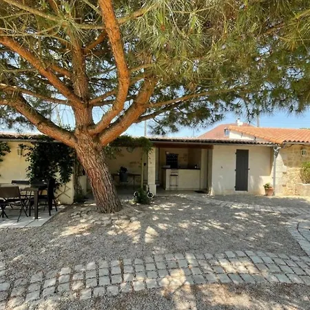 L'olivier Bed & Breakfast Bonneuil-Matours